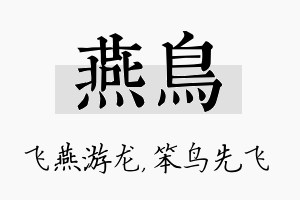 燕鸟名字的寓意及含义