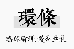 环条名字的寓意及含义