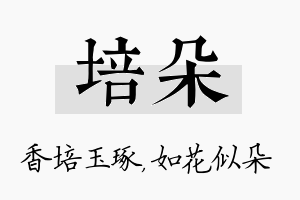 培朵名字的寓意及含义