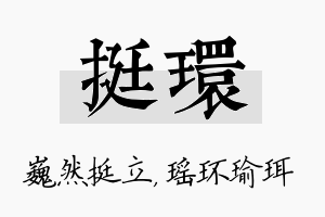 挺环名字的寓意及含义