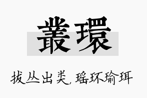 丛环名字的寓意及含义