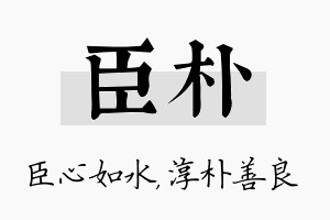 臣朴名字的寓意及含义