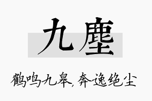 九尘名字的寓意及含义