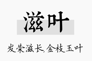 滋叶名字的寓意及含义