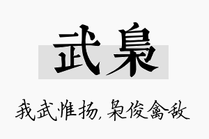 武枭名字的寓意及含义