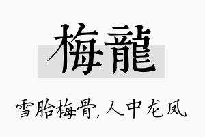 梅龙名字的寓意及含义