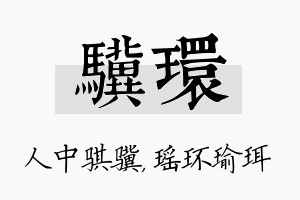 骥环名字的寓意及含义