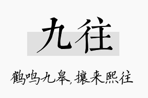 九往名字的寓意及含义