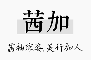 茜加名字的寓意及含义