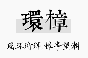 环樟名字的寓意及含义