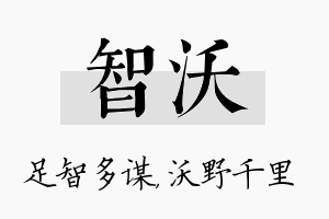 智沃名字的寓意及含义