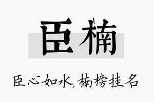 臣楠名字的寓意及含义