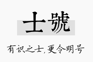 士号名字的寓意及含义