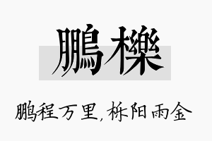 鹏栎名字的寓意及含义