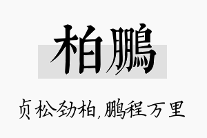 柏鹏名字的寓意及含义