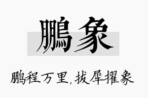 鹏象名字的寓意及含义