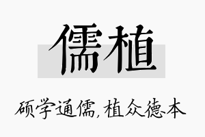 儒植名字的寓意及含义