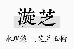 漩芝名字的寓意及含义