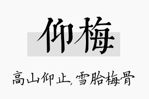 仰梅名字的寓意及含义