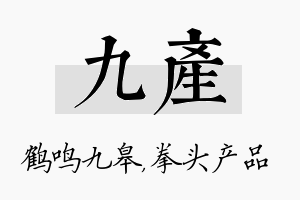 九产名字的寓意及含义