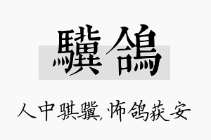 骥鸽名字的寓意及含义