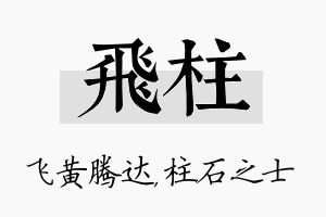 飞柱名字的寓意及含义