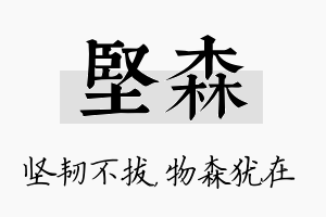 坚森名字的寓意及含义