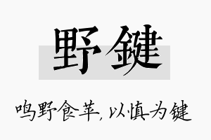 野键名字的寓意及含义