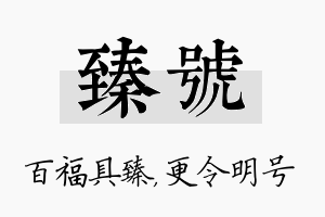 臻号名字的寓意及含义