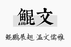 鲲文名字的寓意及含义