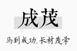 成茂名字的寓意及含义