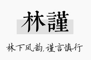 林谨名字的寓意及含义