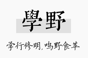 学野名字的寓意及含义