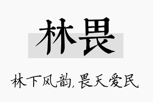 林畏名字的寓意及含义