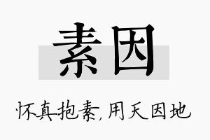 素因名字的寓意及含义