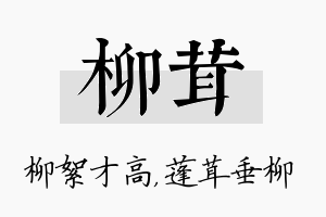 柳茸名字的寓意及含义