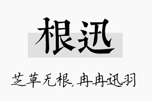 根迅名字的寓意及含义