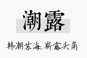 潮露名字的寓意及含义