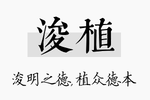 浚植名字的寓意及含义