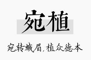 宛植名字的寓意及含义