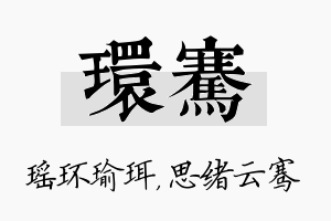 环骞名字的寓意及含义