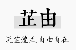 芷由名字的寓意及含义