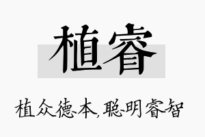 植睿名字的寓意及含义