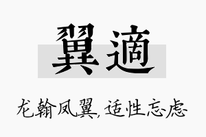 翼适名字的寓意及含义