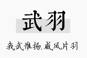 武羽名字的寓意及含义