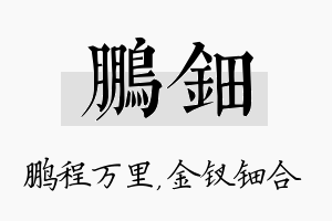 鹏钿名字的寓意及含义