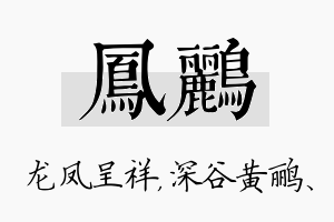 凤鹂名字的寓意及含义