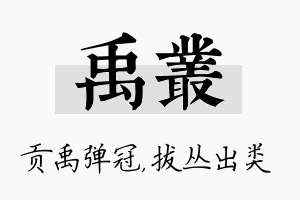 禹丛名字的寓意及含义