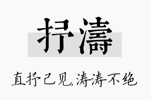 抒涛名字的寓意及含义