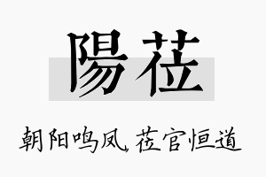 阳莅名字的寓意及含义